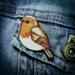 Robin pin / brooch